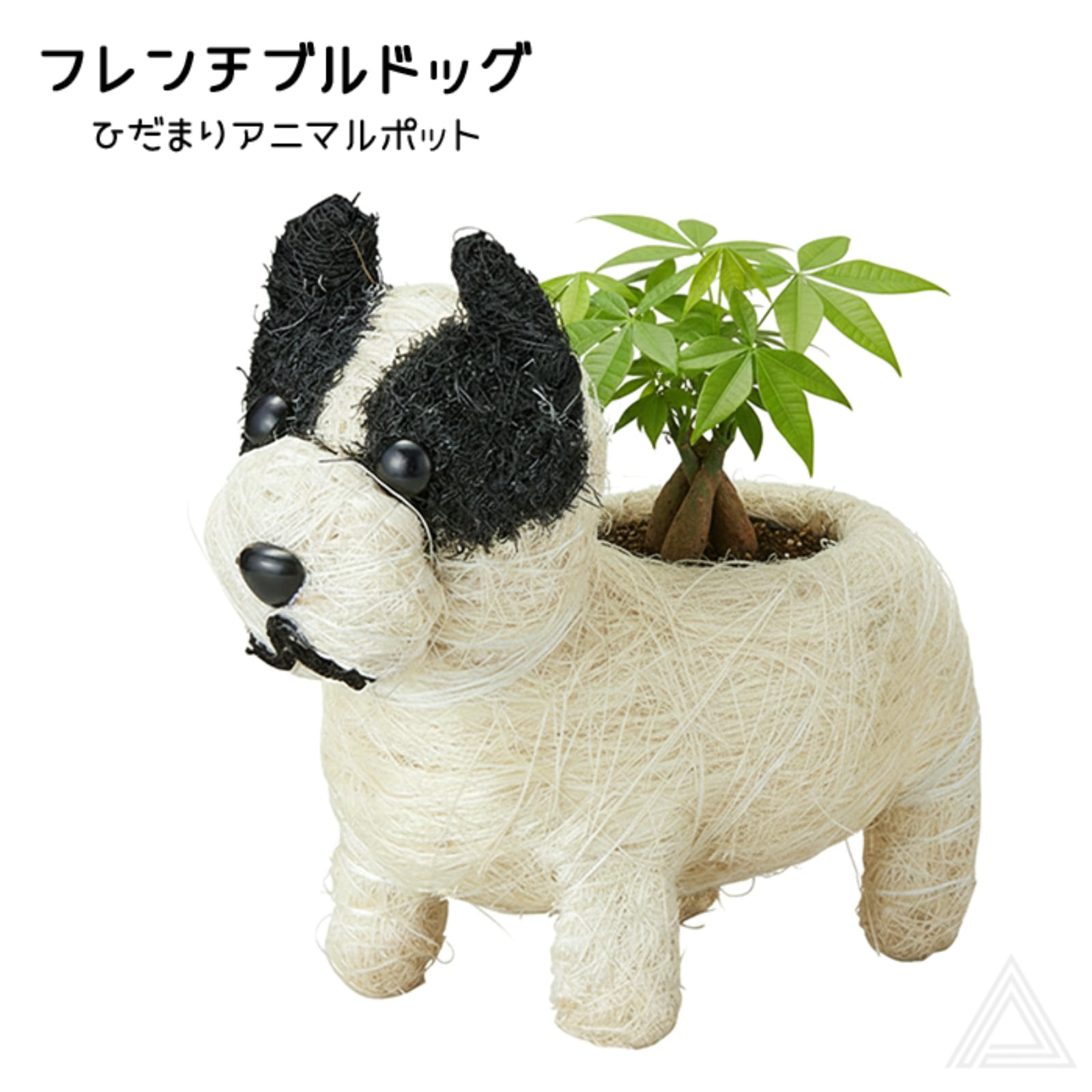 雑貨 | DearKM ❤︎フレンチブルドック孔明
