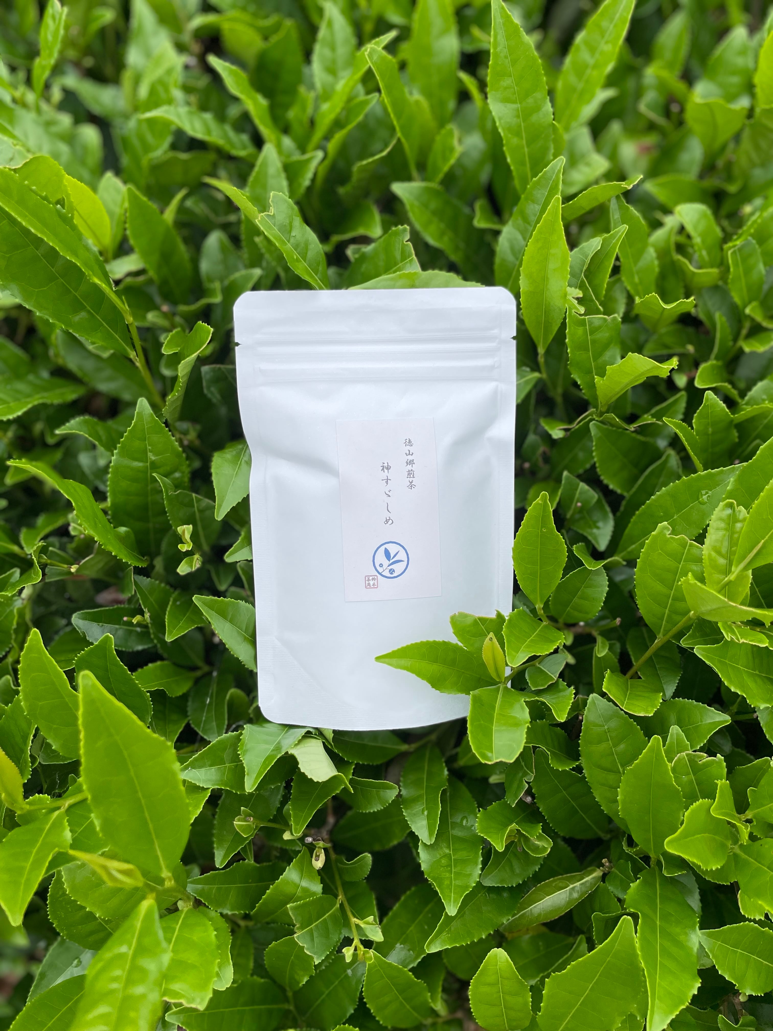 徳山郷煎茶 神すゞしめ 2025 50g | 鈴木茶苑