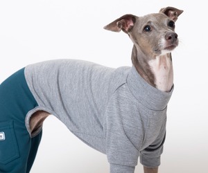 ５スリーブロンパース（5分丈） gray × green  / イタグレ服