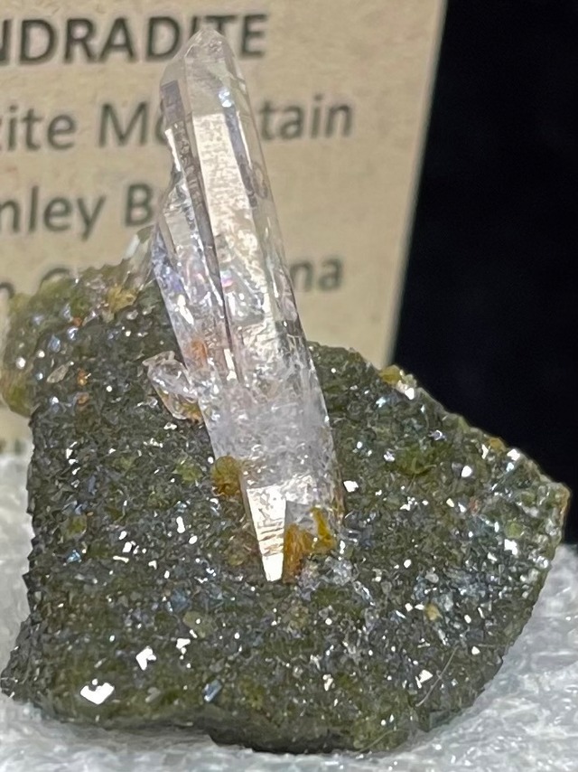 6) 2024デンバー・鉱物B「アンドラダイトwithクオーツ」