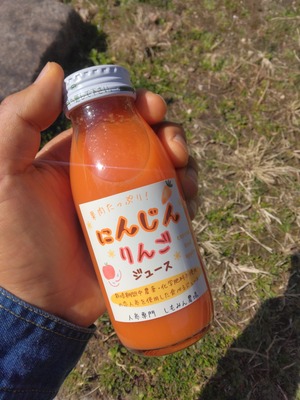 【1本】果肉たっぷり！にんじんりんごジュース