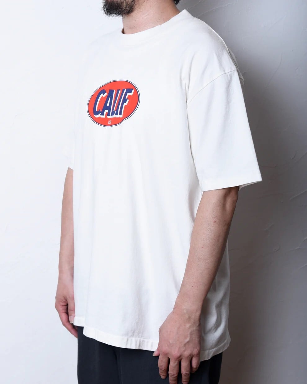 TWO MOON SHORT SLEEVE SWEAT V-gusset 10312 両V半袖 スウェット