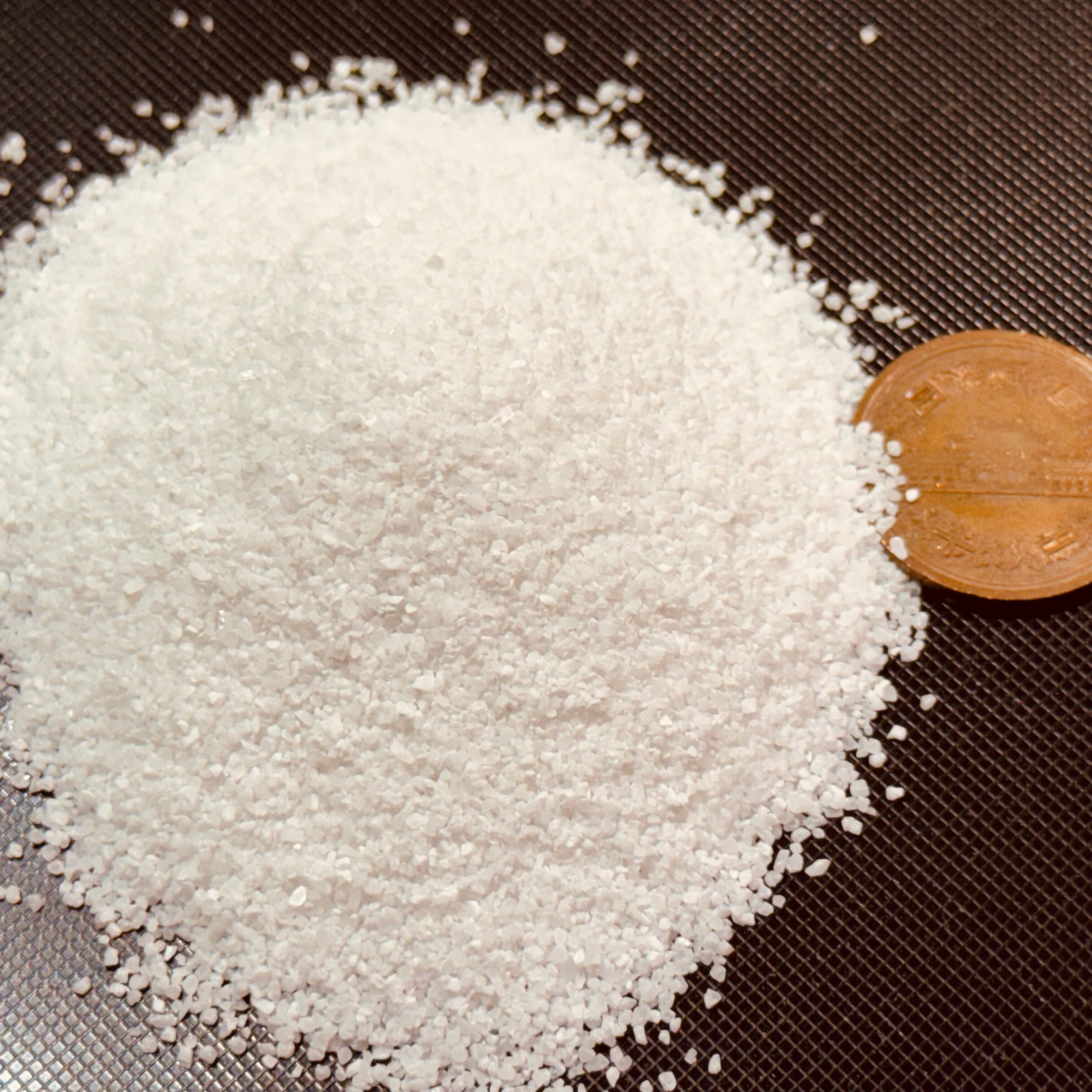 エダコモンサンゴ (FORESTFIRE) 8x9cm エダコモンサンゴ (FORESTFIRE) 8x9cm