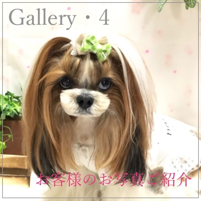 ＊Gallery・4＊