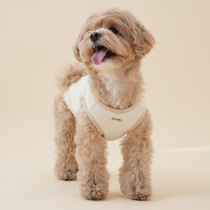 【予約】Organic Quilted Vest｜Back Button（お名前刺繍入り）