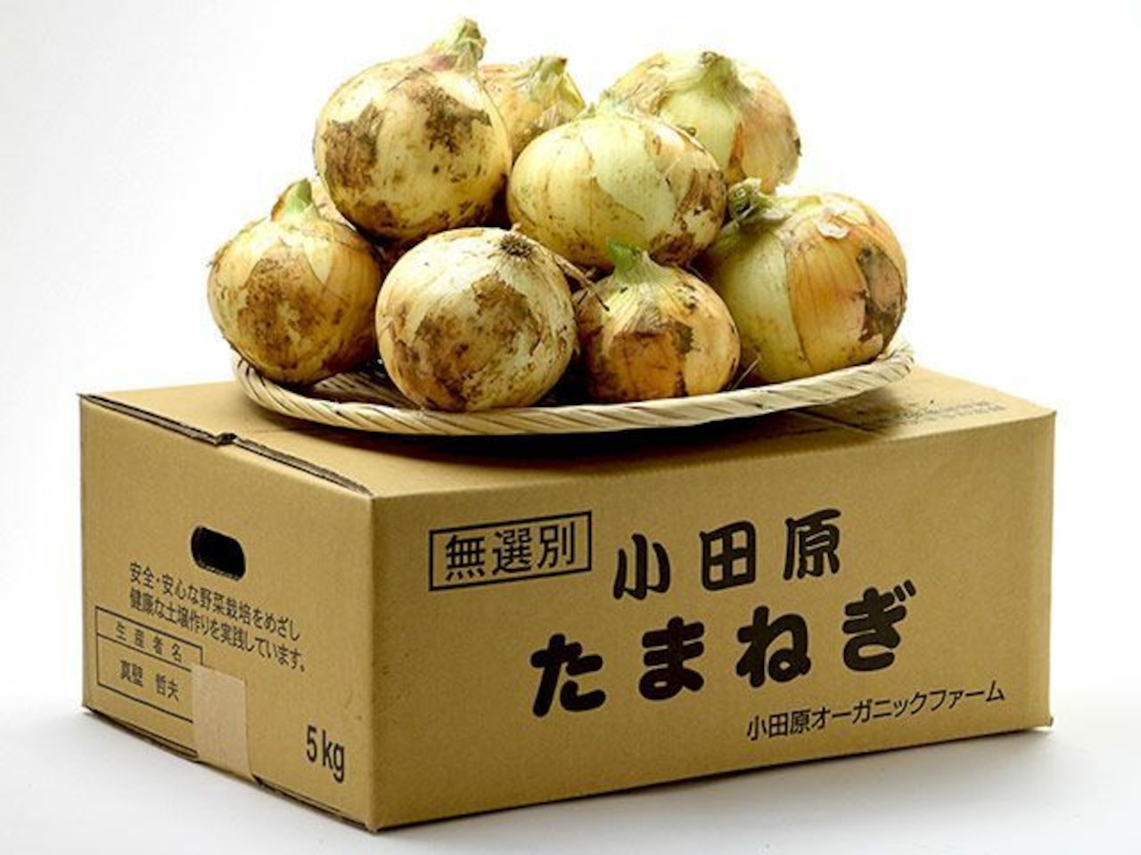 【新玉】下中玉ねぎ(5kg)