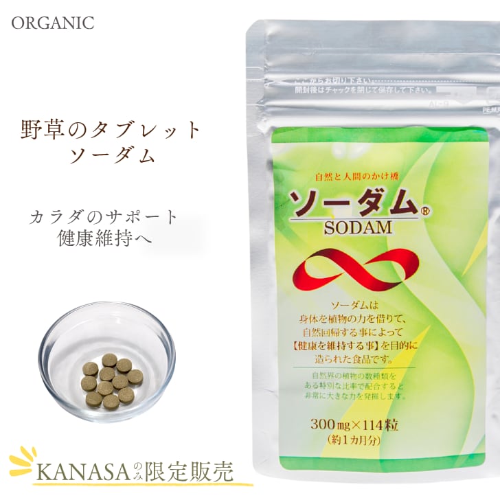 ソーダム 300mg（約114粒） | R.KANASA