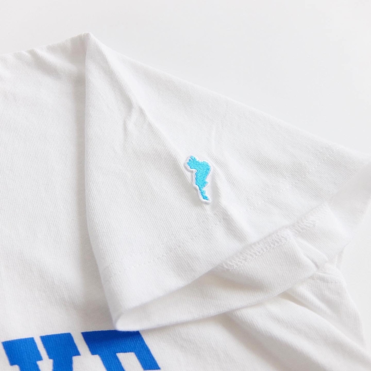 BIWAKO CITY / MOTHER LAKE CALLAGE LOGO TEE