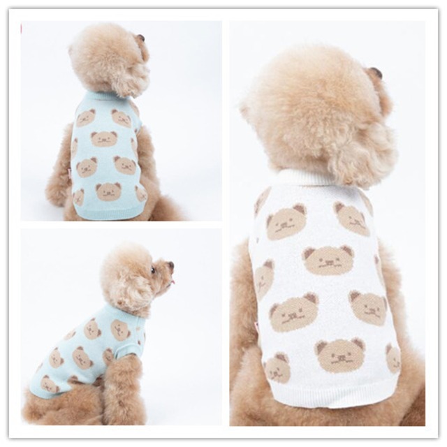 《予約》№1102732 ニンマリくまさんストレッチインナー