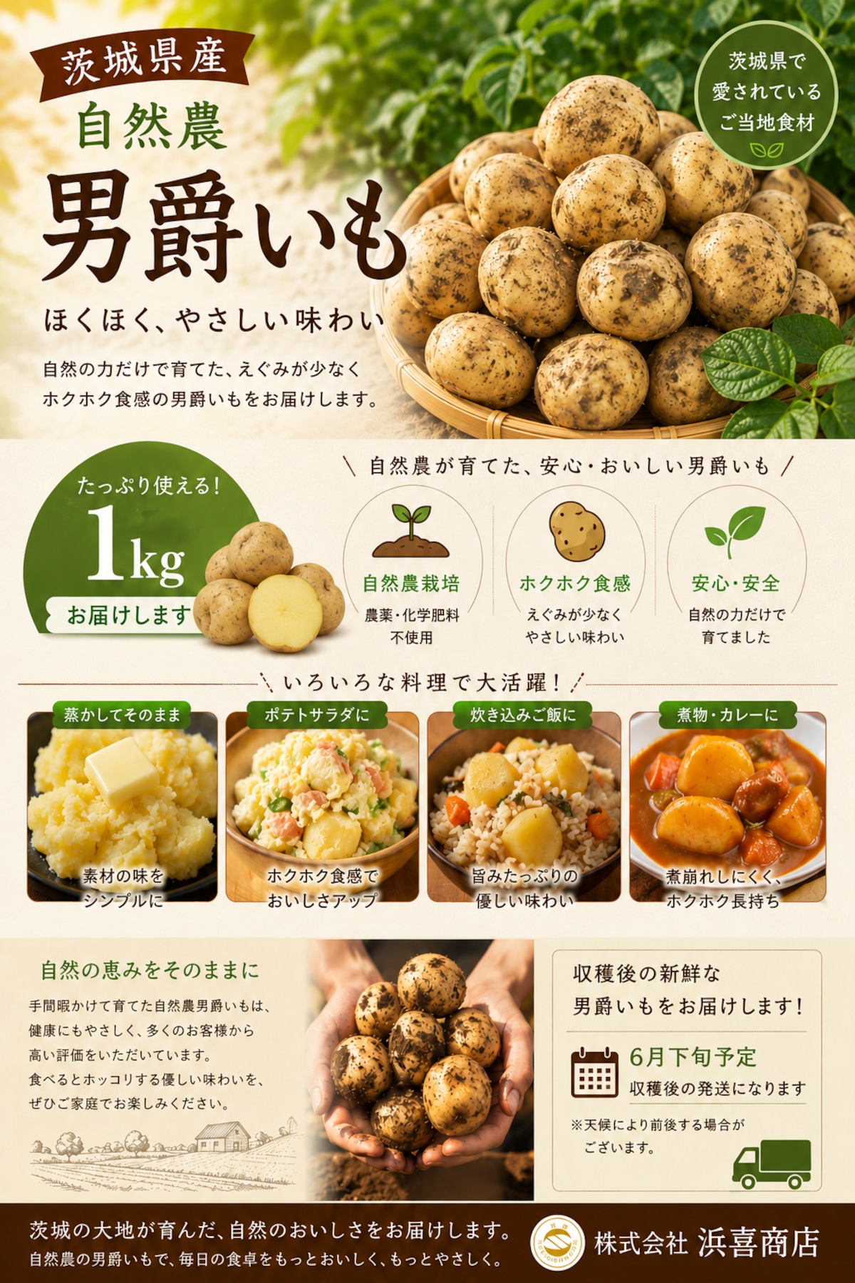 茨城県産 無農薬新じゃがいも男爵28kgMAX 茨城県産自然農じゃがいも（男爵）1㎏ | 浜喜商店BASE店