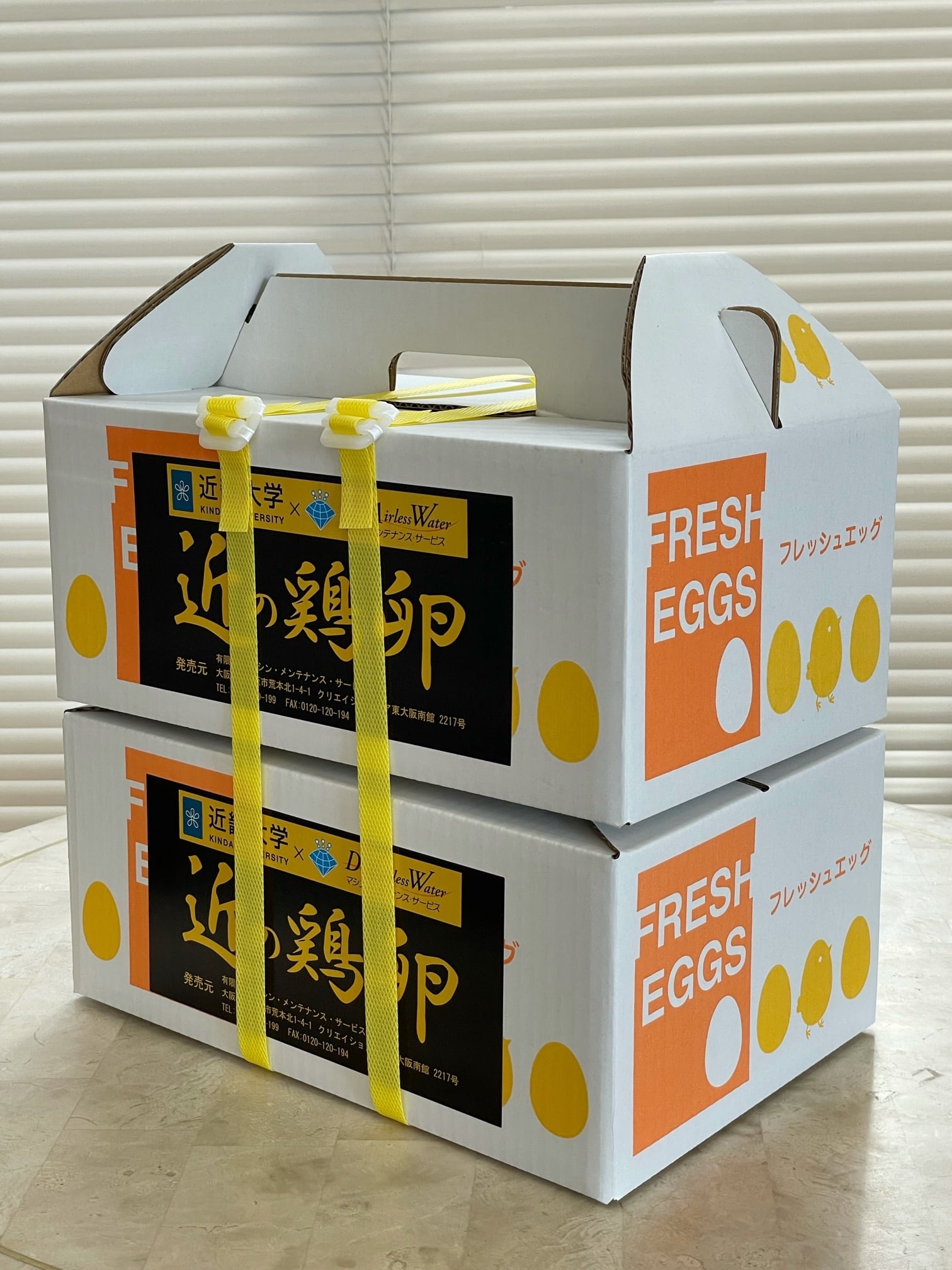 産卵床56個×５セット　280個まとめ売りショート　☆ジャンボ大福出品☆ 産卵床56個×5セット 280個まとめ売りロング ☆ジャンボ大福出品