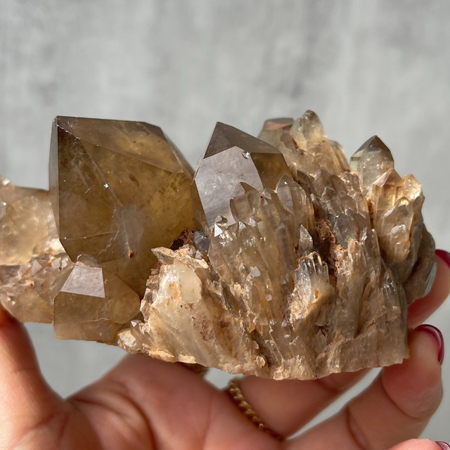 コンゴ産【クンダリーニシトリン（非加熱 Citrine）】スモーキー｜クラスター 鉱物 天然石 パワーストーン