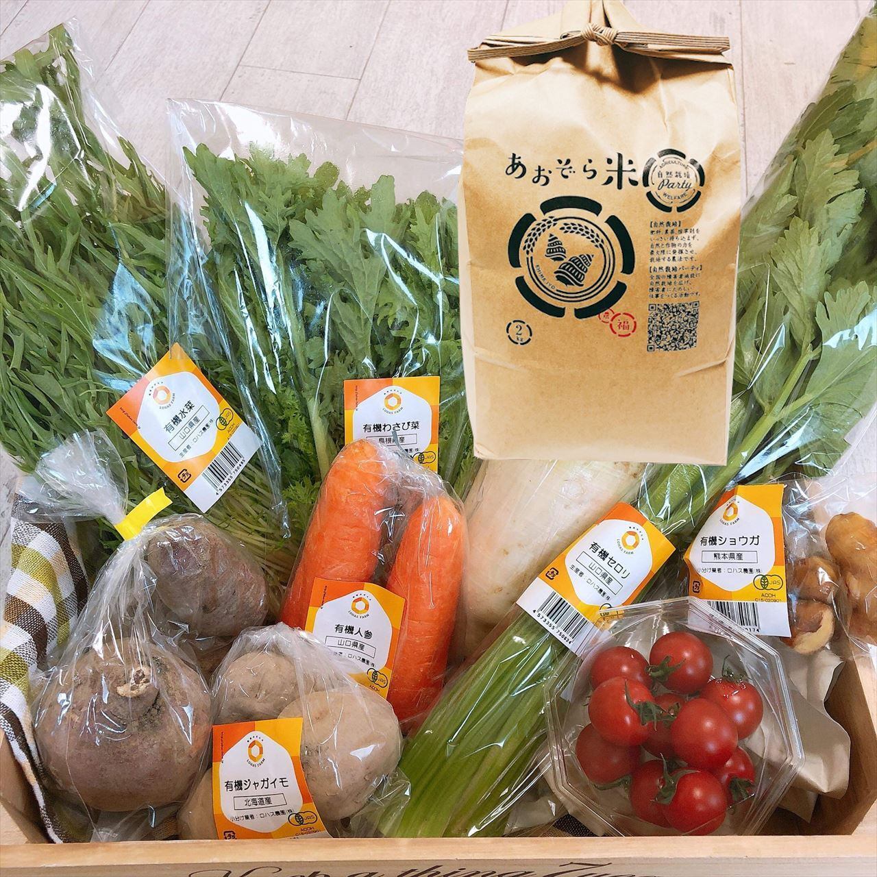 島崎屋特選野菜セットM[宅急便]【クール便】  オーガニックストア麻布 