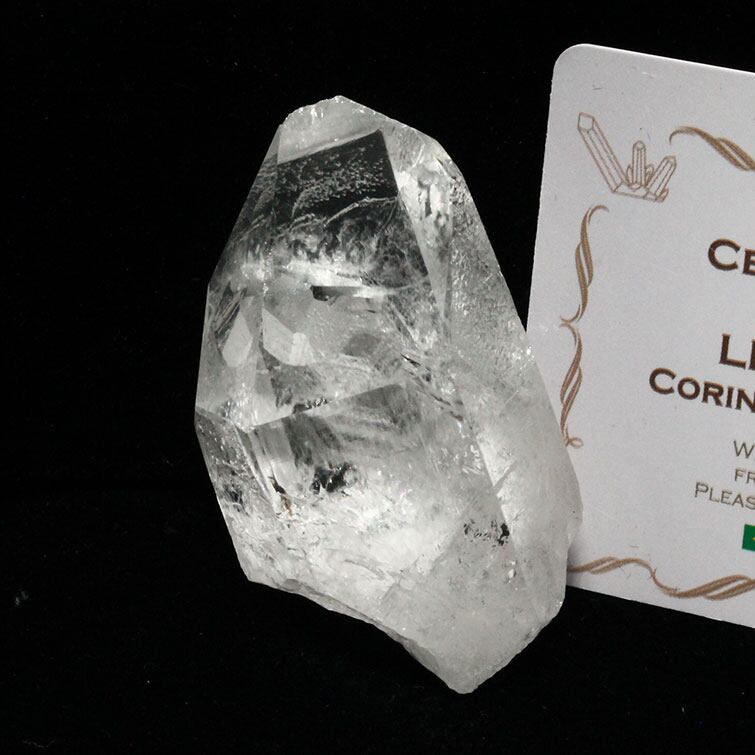 レムリアンシード 水晶 原石 ブラジル ミナスジェライス州 コリント産 クォーツインクォーツ 証明書付属 一点物 271-323