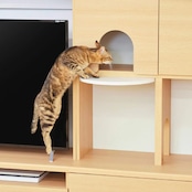 ニャコモ 穴あり 左扉 NCM-D45 ( AL ) NA