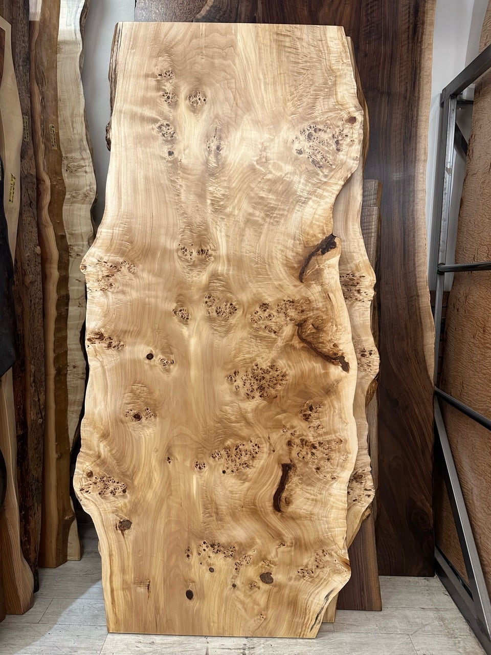 座卓 一枚板 幅75×奥行53×高さ28cm 瘤板 輪切り 瘤杢 瘤材 座敷机 ローテーブル 楡 欅 ニレ ケヤキ 札幌 札幌市 清田区 平岡 GMGT180○最高級 花梨材 輪切り 座卓 ローテーブル 座敷机 一枚板 玉杢