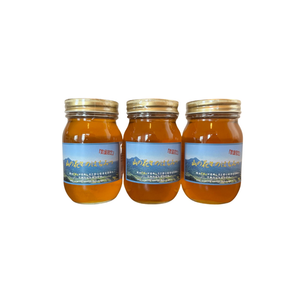 つかもと養蜂場【山の花々の蜜】 | honeyhive