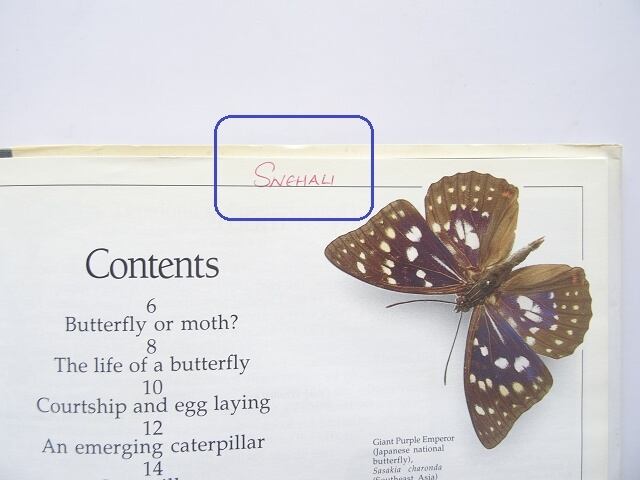 蝶　蛾　図鑑　洋書　バタフライ　Butterflies Moths 洋書◇蝶と蛾の写真集 本 図鑑 チョウ ガ 蝶々 | 洋書堂