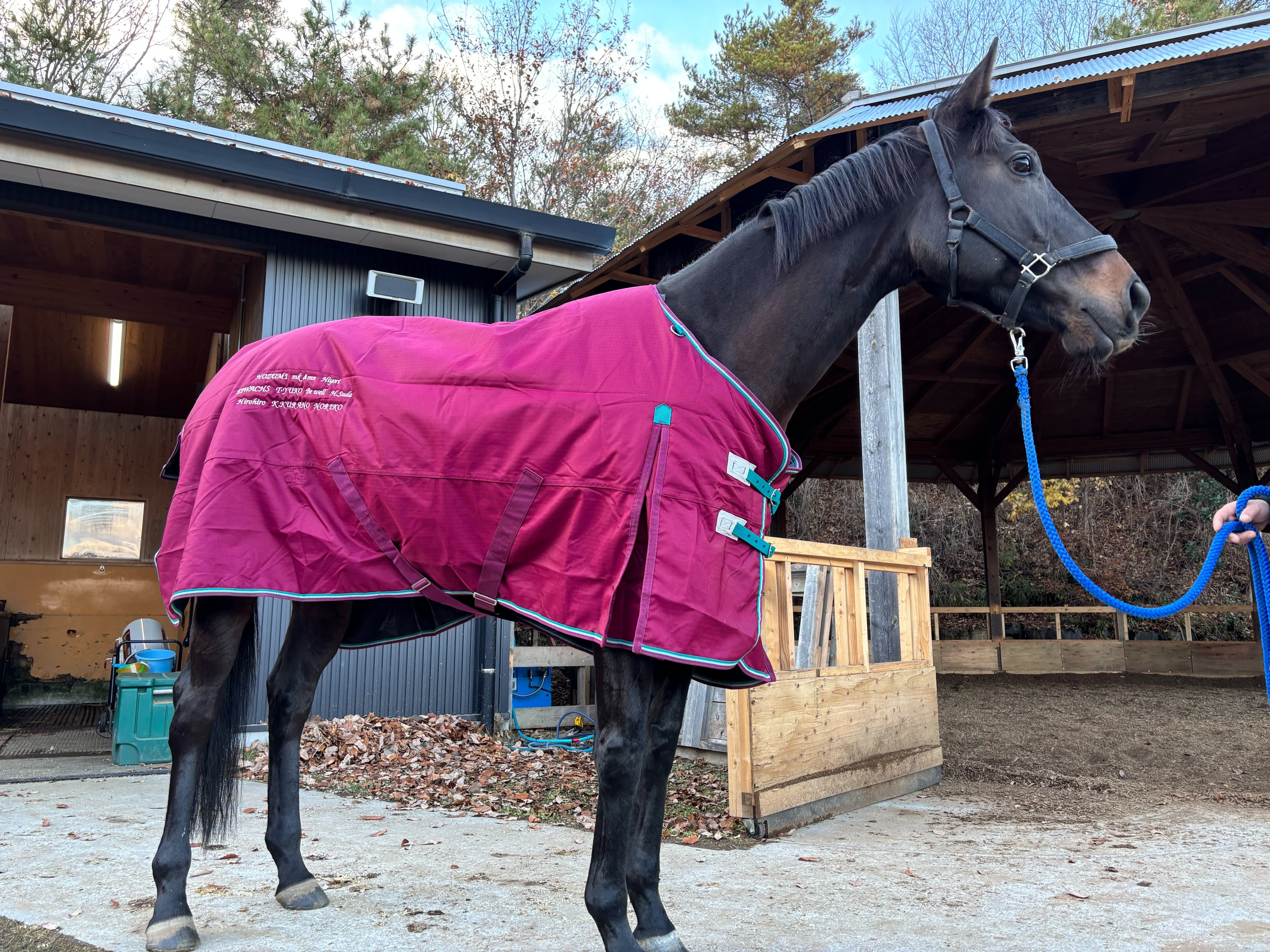 合馬公式 馬着プロジェクト【2025】 | TCC ONLINE STORE