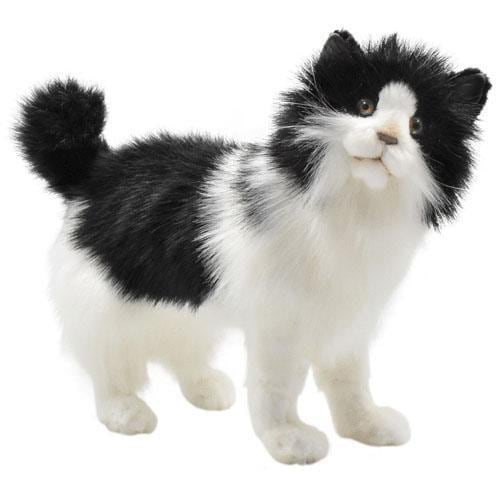 癒しの猫「シロクロネコ」 | アルファ美輝