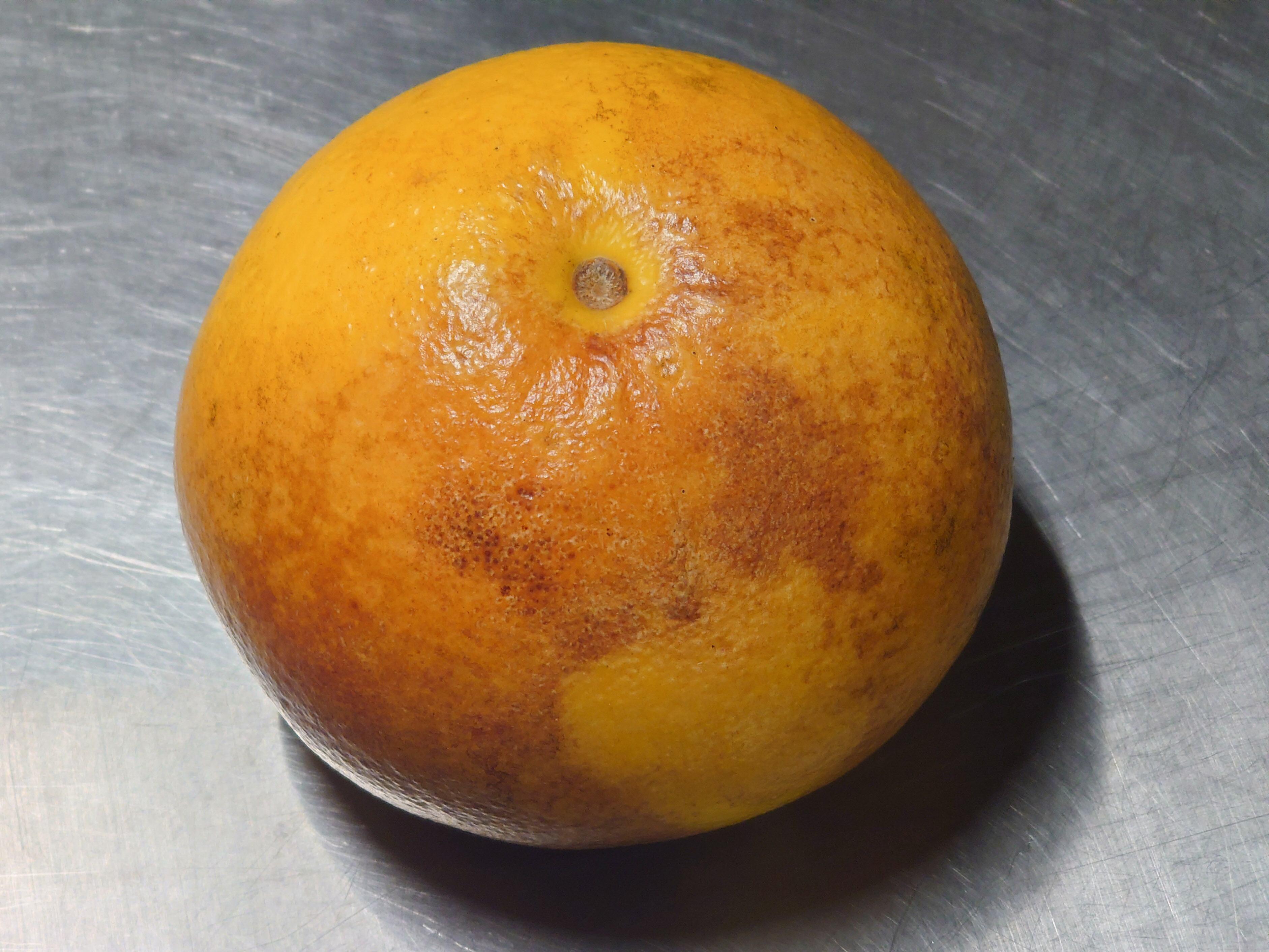超訳あり品】土佐文旦 20kg（10kg×2箱を1梱包） ：10kg（M
