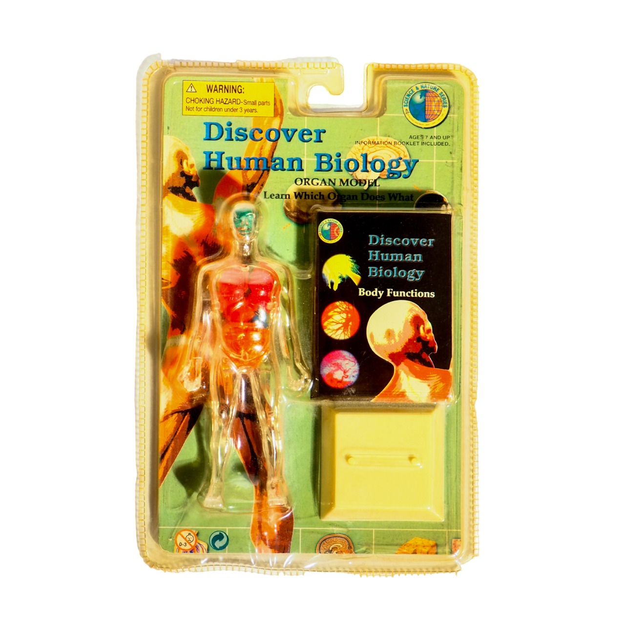 1998 Discover Human Biology Organ Model Human toy
