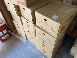 愛媛県産　西宇和みかん　10kg箱