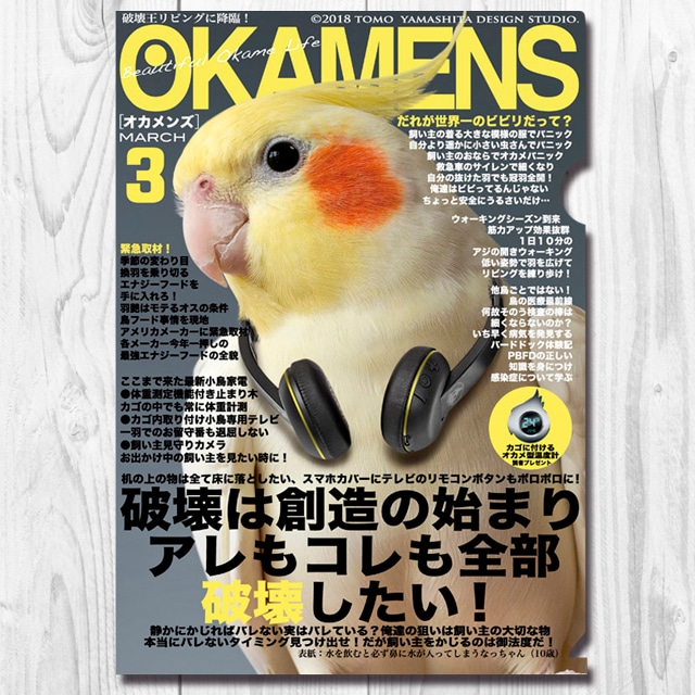 A4クリアファイル　 オカメンズ3月号 「破壊は創造の始まり」