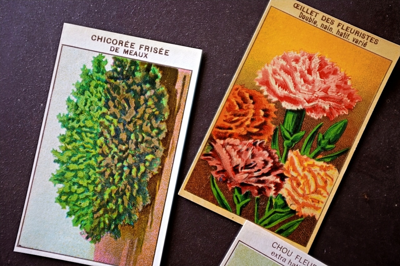 20s フランス 4set 膨満な花々と野菜たち 種子袋用ラベルd アンティーク