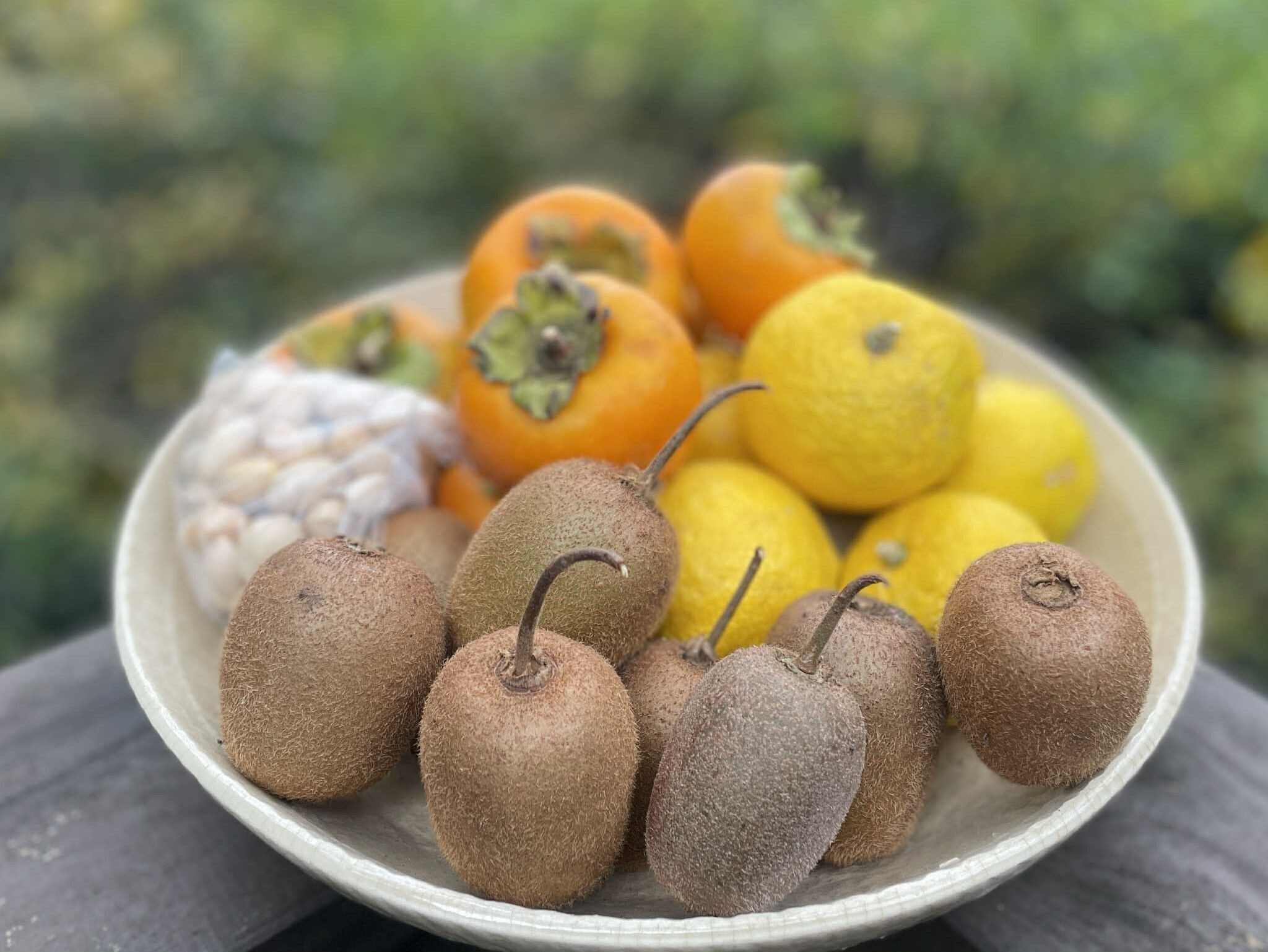 自然の恵みギフトvol1【秋】