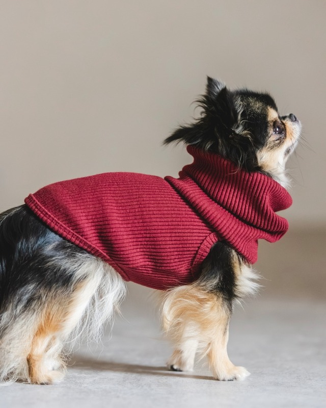 Luxury Warm リブ(レッド)