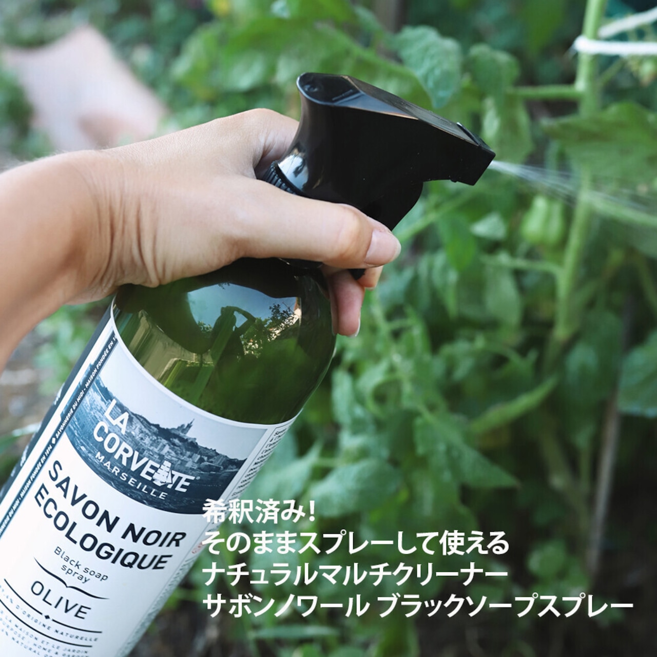 LA CORVETTE サボンノワール・エコロジー ブラックソープスプレー 750ml