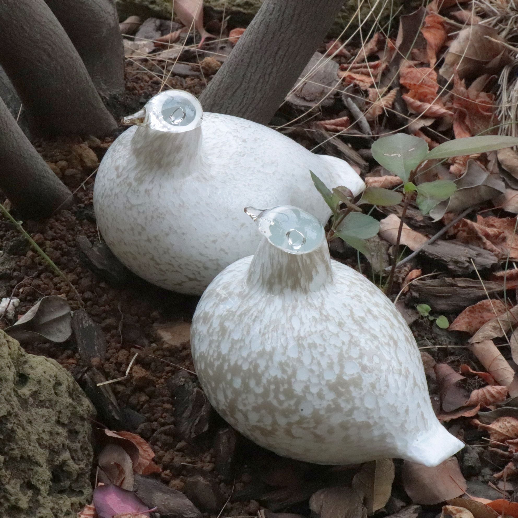 c7902】Birds by Oiva Toikka - Riekko / Willow Grouse（ライチョウ