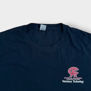 【GILDAN】3XL ビッグサイズ カレッジロゴ プリント Tシャツ COASTAL ALABAMA COMMUNITY COLLEGE ワンポイントロゴ バックプリント 半袖 黒 US古着