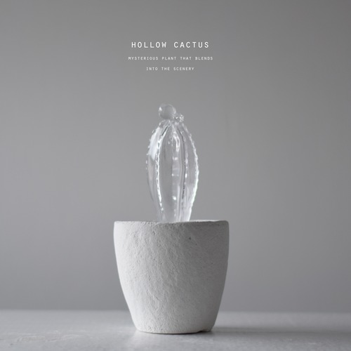 hollow cactus　(白雲閣）