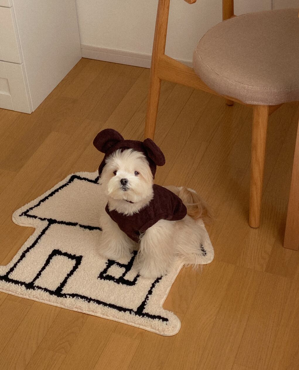 予約【ounce】Terry Bear Vest (Brown)