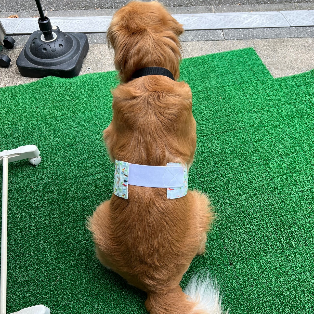 犬用品　アイスベスト延長マジックテープ