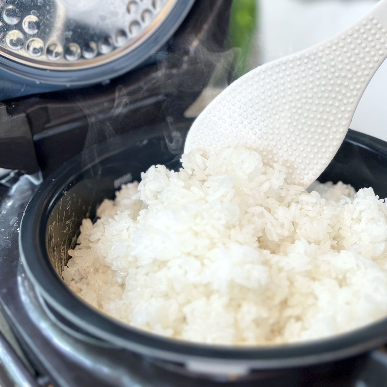 JA稲敷 特別栽培米 コシヒカリ 光一点 5kg 令和4年産 数量限定 40%OFF