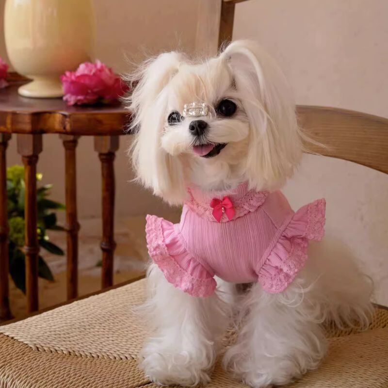 フリル袖のトップス 犬服 00166