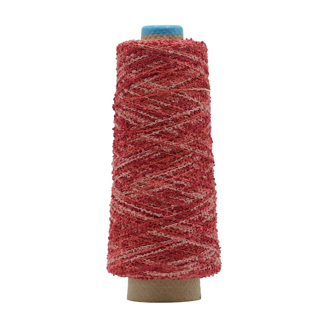 2025年1月8日_今日の1本