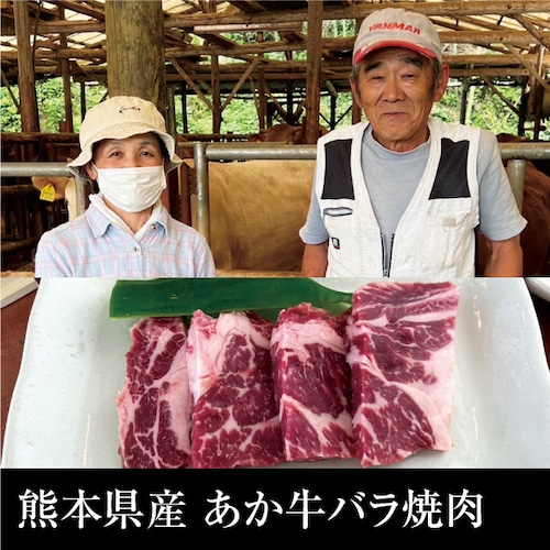 送料無料 送料無料 熊本県産あか牛バラ焼肉 600g