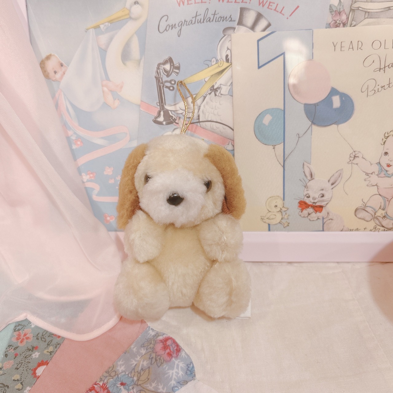mini dogの画像01