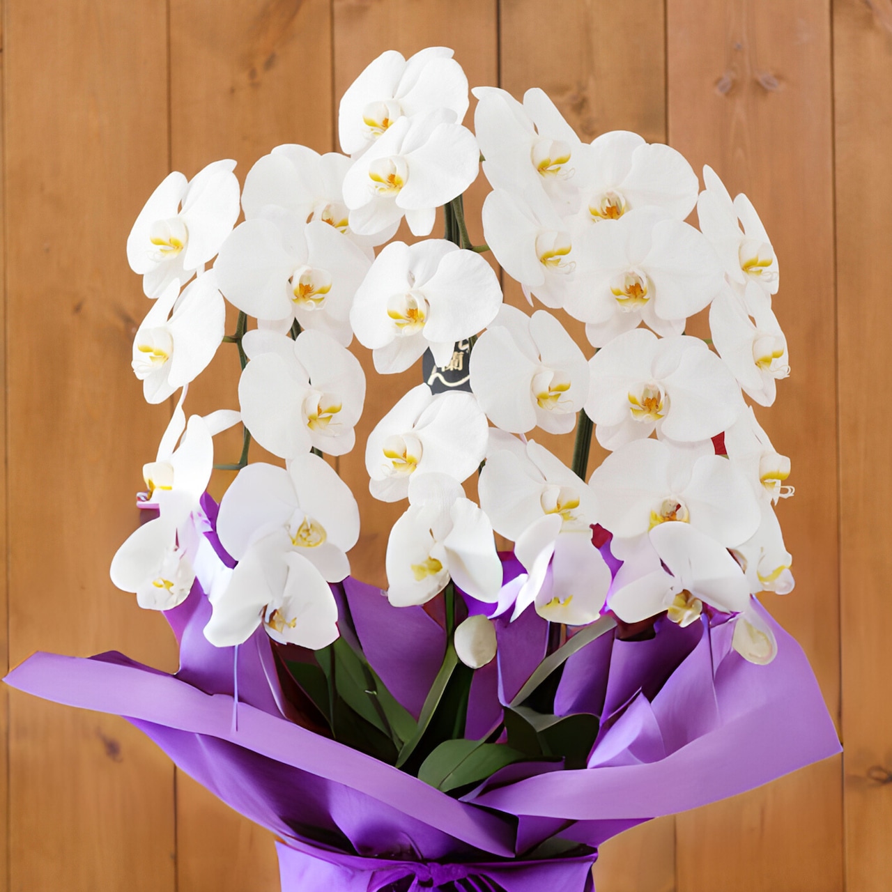 【御供】ミディ胡蝶蘭 白小輪3本立ち・画像2