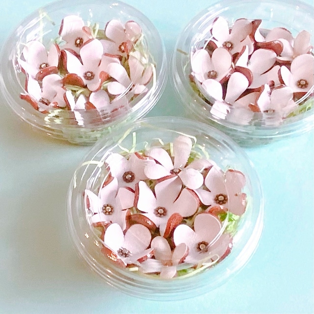 【革の花畑カップ】ピン加工8種の花入りカップ(ホワイトカラー)