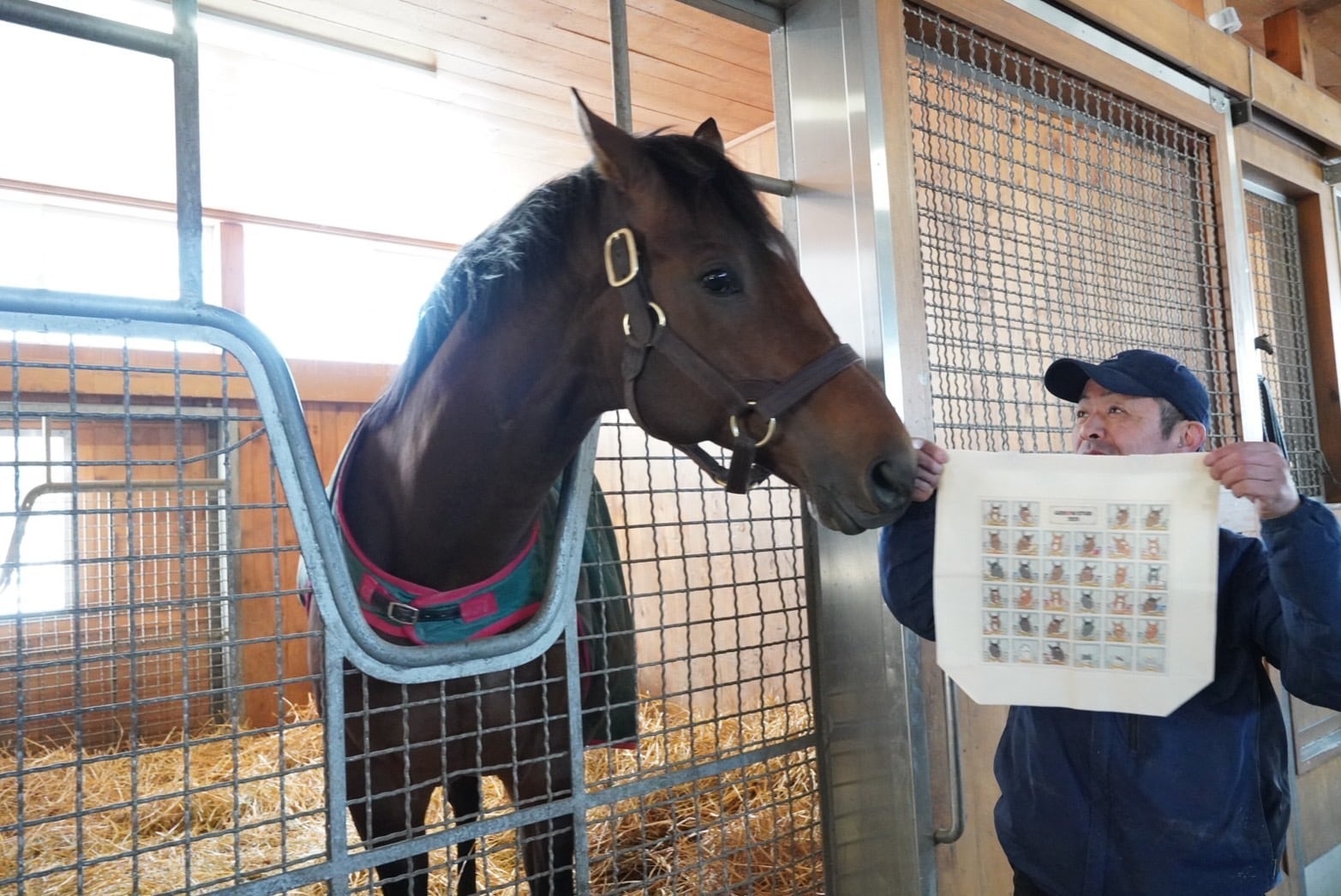 ARROW STUD トートバッグ・スタリオンブックセット2026 | umanowa