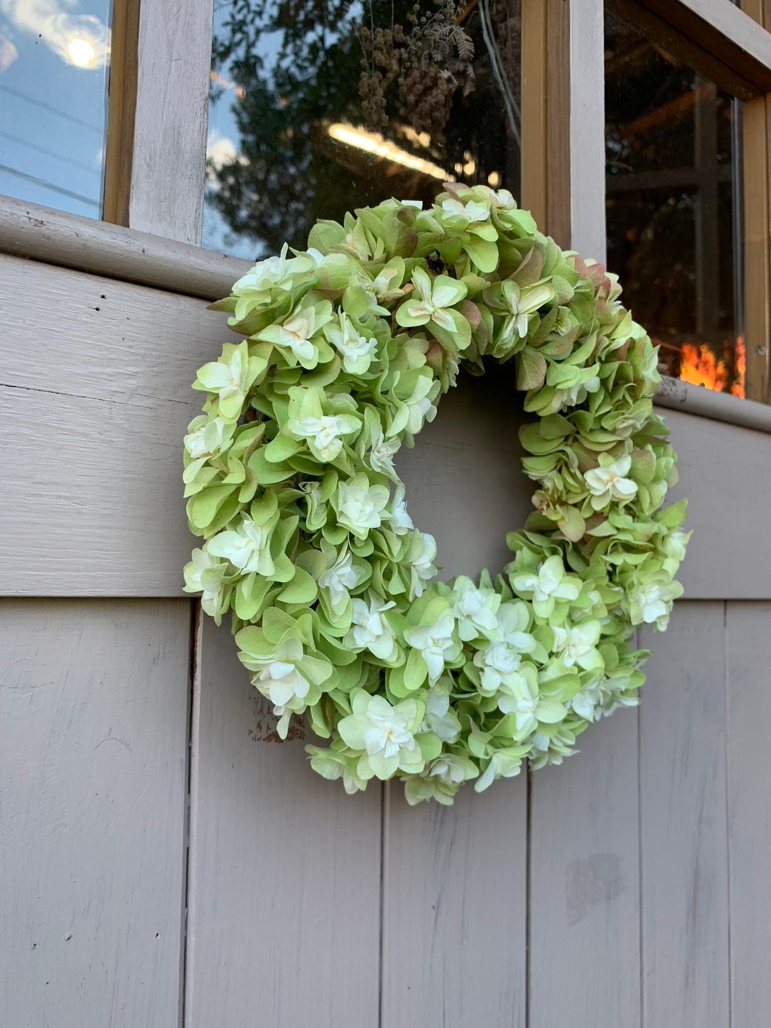 カシワバアジサイのリースM | 京都 おむろ YUUKIESGARDEN(ゆうきいずが