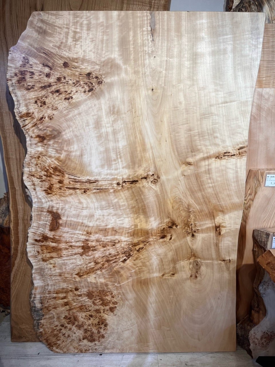 ポプラ瘤_1600×930-1000-910×58_浅草本店_テーブル天板/一枚板 242320