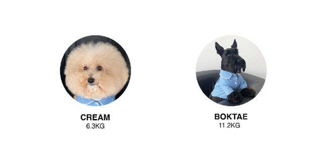 〈予約アイテム〉pebs / Ball cap（わんこ用) Lサイズ