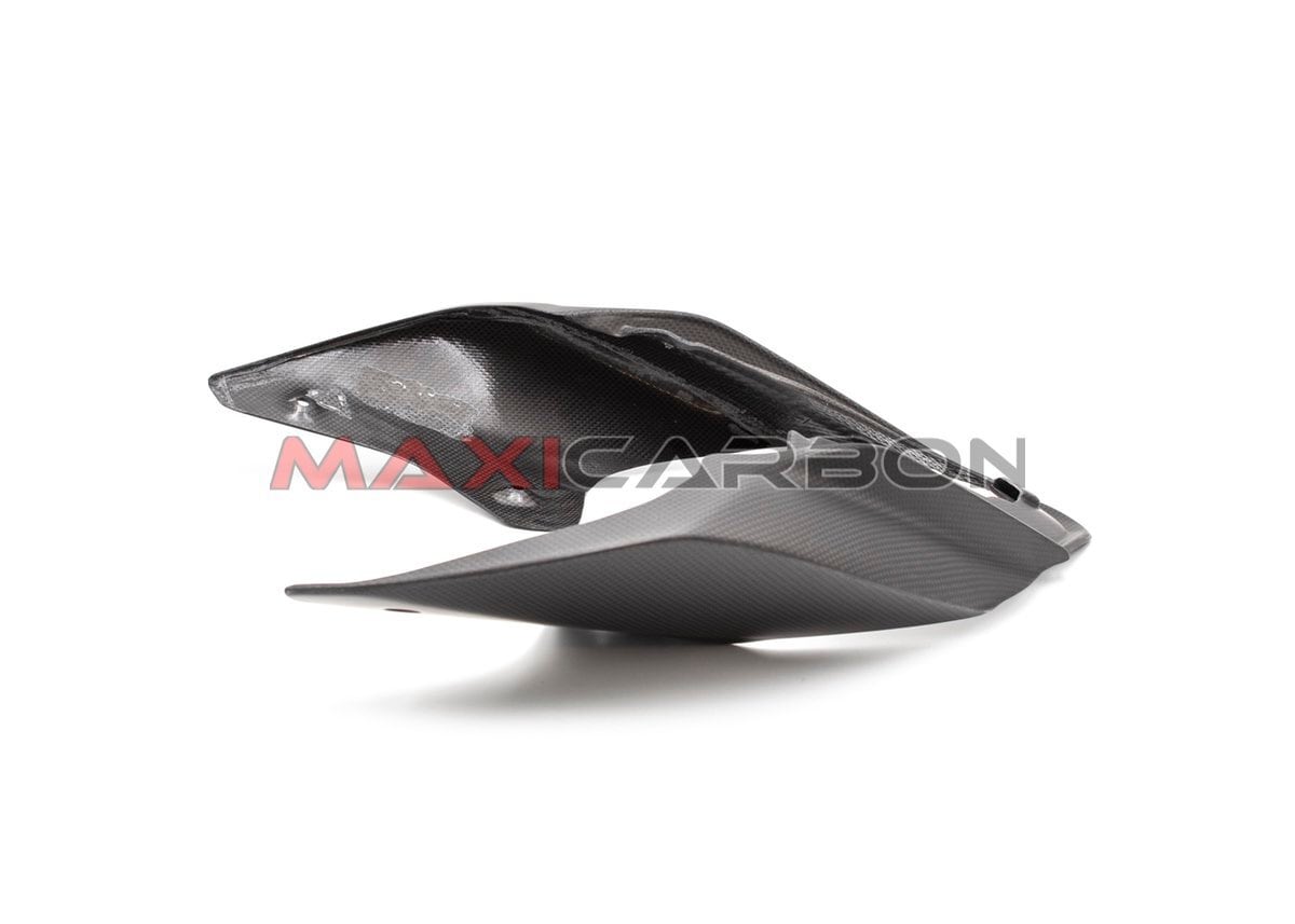 DUCATI panigale V4 テールカウル LighTech - ドライカーボン テールカウル (艶あり) PANIGALE V4 / S