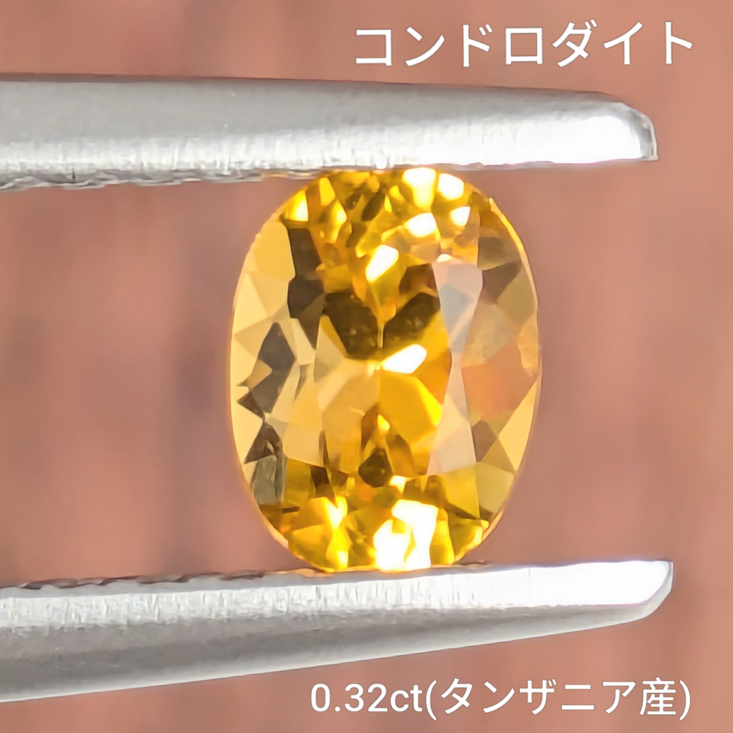 10,000円 | Gem's Subculture